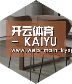 开云体育以专业化产品制胜